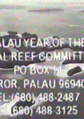 Year of the Coral Reef