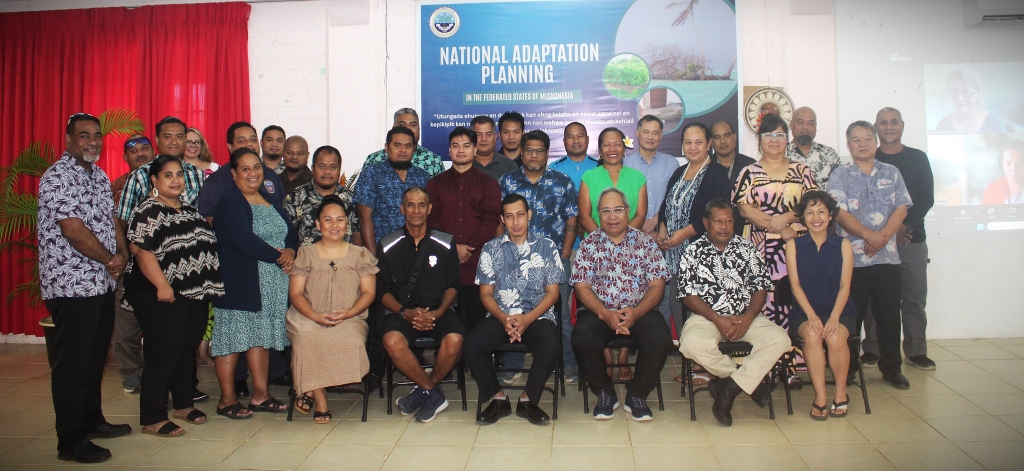 FSM Pohnpei NAP