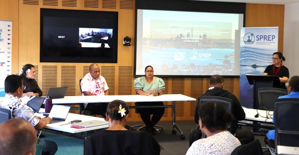 The pre-INC4 negotiations training 