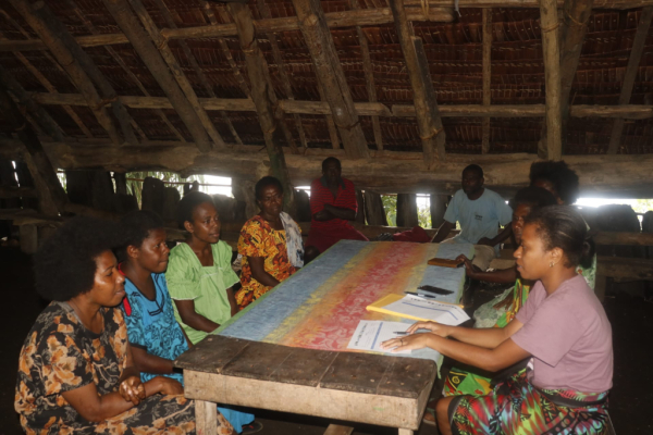 Community consultations