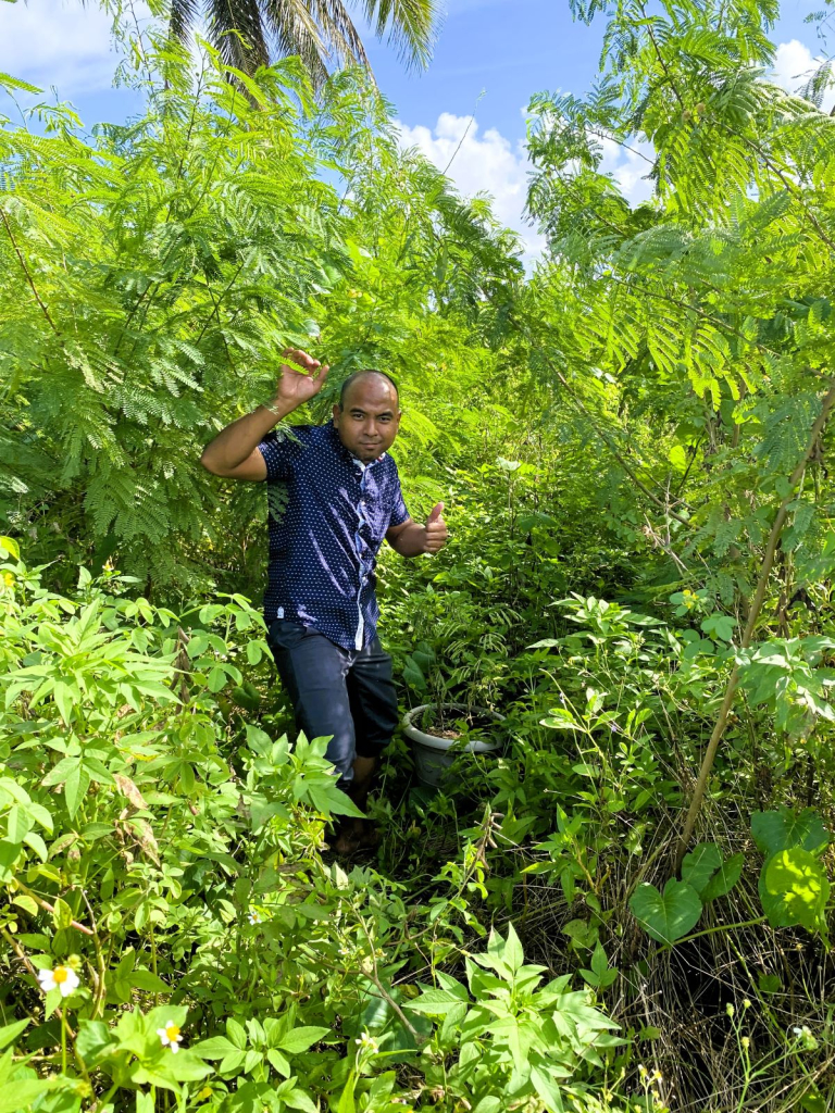 Invasives tree