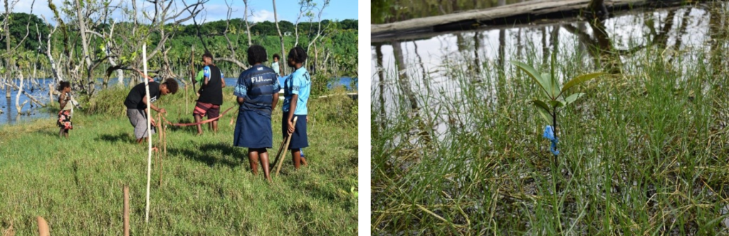 Workshop 3 Vanuatu