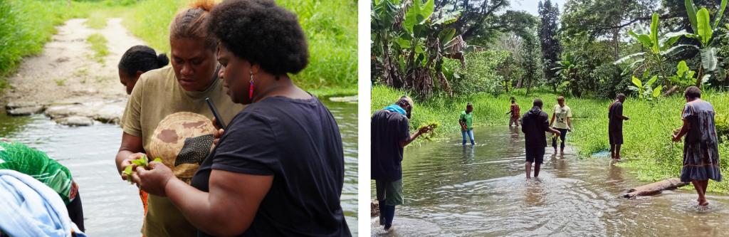 (Left) Emmy Siro and Touasi Kalsaria Tiwok during the PEBACC+ Cross-Site Learning in Vanuatu, learning about invasive species management with the Department of Biosecurity. Photo by SPREP. (Right) Community members learning about invasive species management along the Tagabe River. Photo by Touasi Kalsaria.