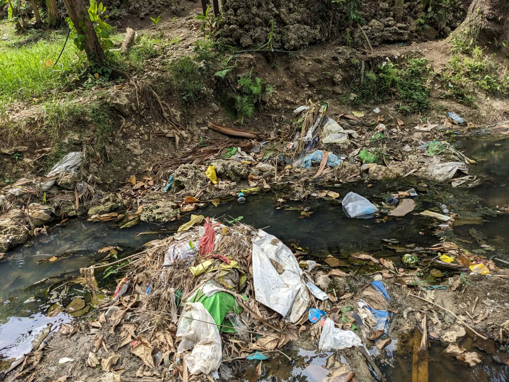 Waste seen